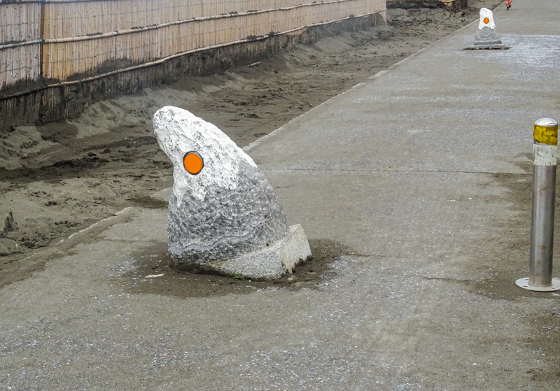 2019-7-中-001-1.jpg