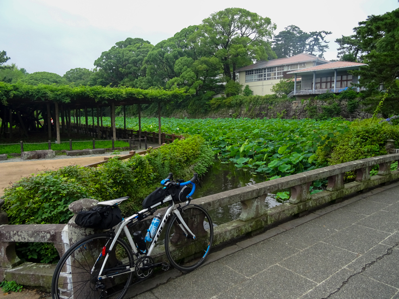 2019-7-odawara-005.jpg