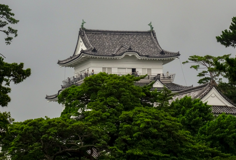 2019-7-odawara-008.jpg