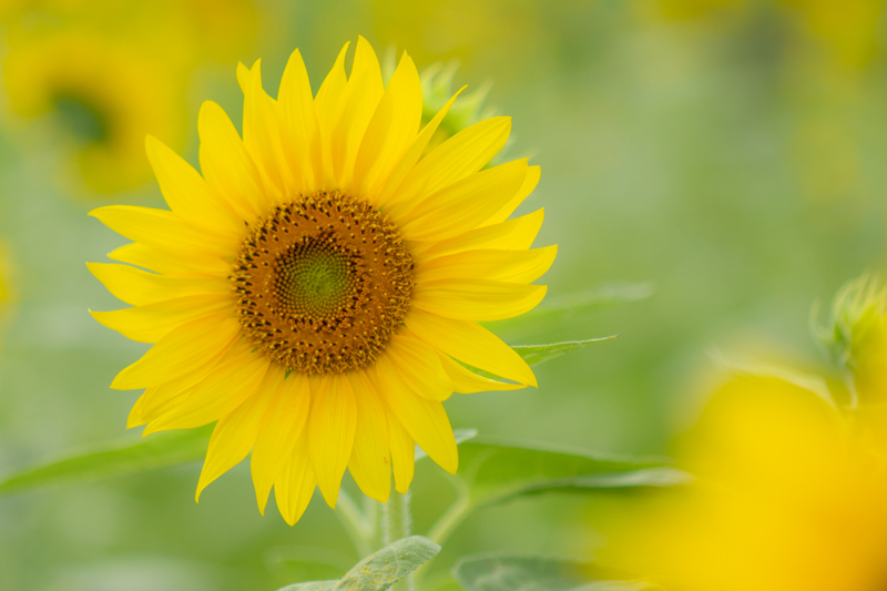 2019-721-000-2.jpg