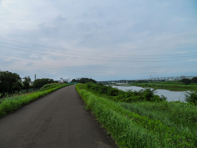 2019-721-001.jpg