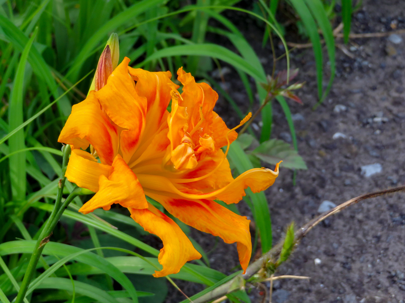 2019-721-002.jpg