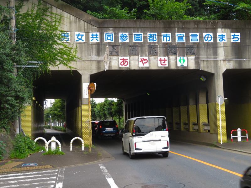 2019-721-008.jpg