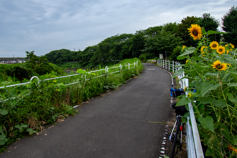 2019-721-020.jpg