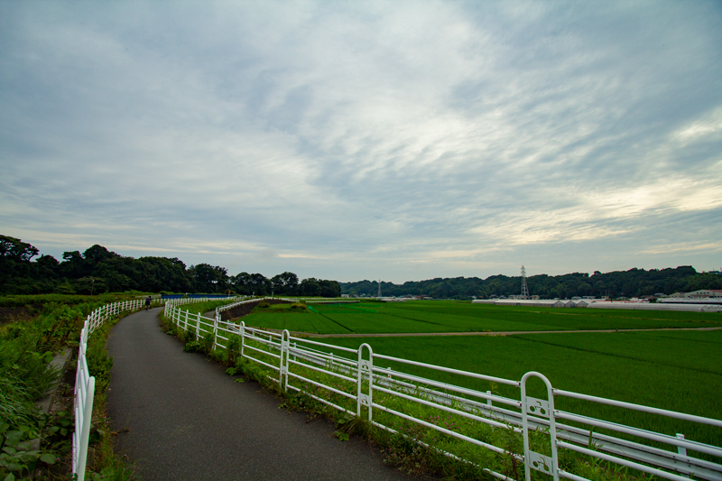 2019-721-021.jpg