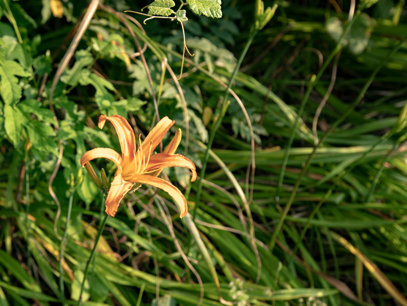 2019-728-009.jpg
