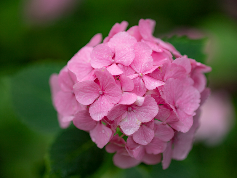 2019-azumayama-004.jpg