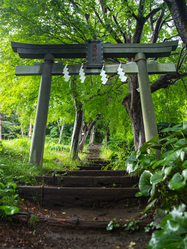 2019-azumayama-011.jpg