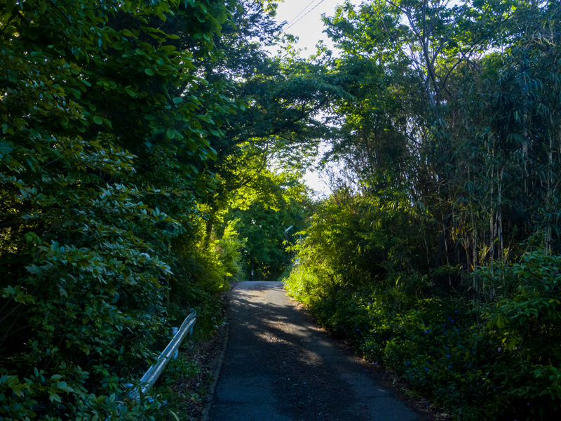 2019-gw-ride2-006.jpg