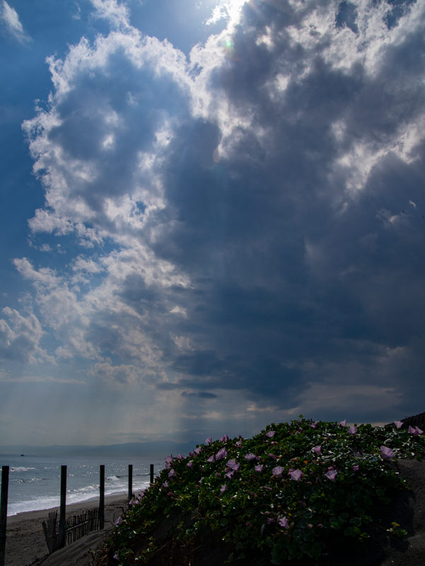 2019-gw-ride2-008.jpg