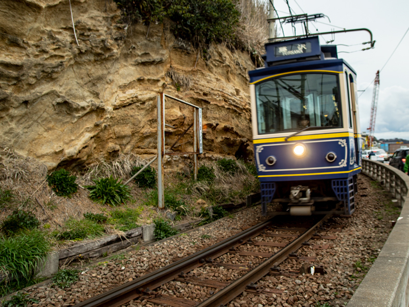20190310ポタ003-1.jpg