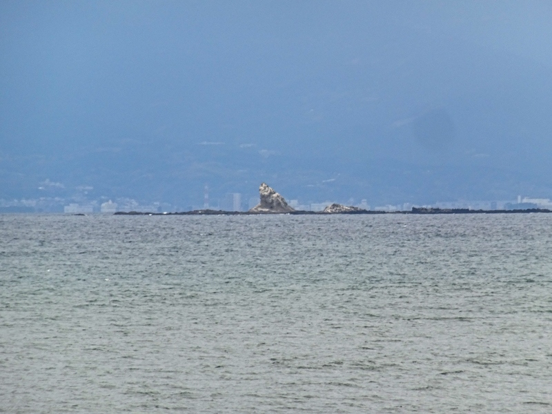 20190310ポタ006-2.jpg