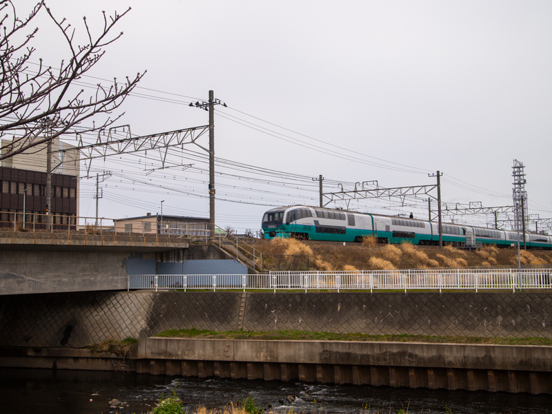 20190310ポタ007.jpg