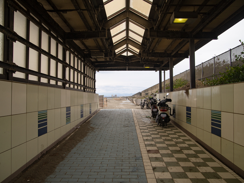20190310ポタ011.jpg