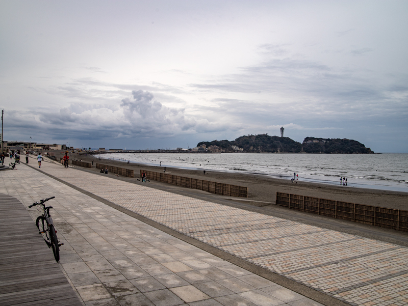 20190310ポタ014.jpg