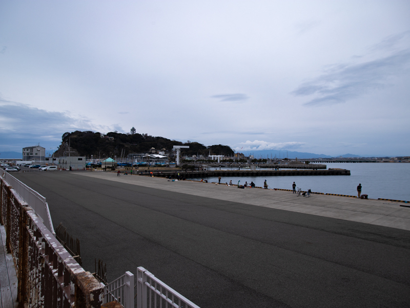 20190310ポタ016.jpg