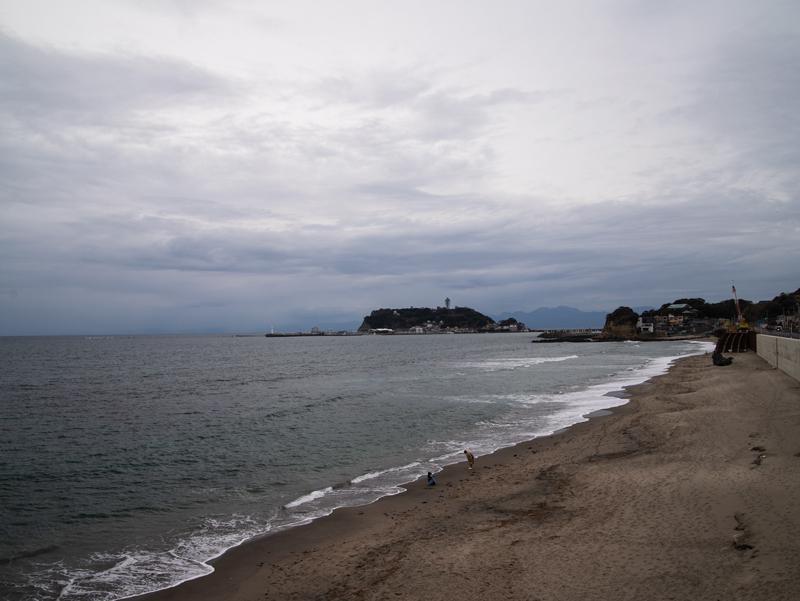 20190310ポタ019.jpg