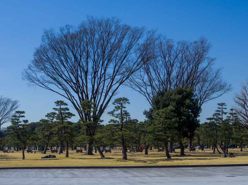 20190320-qs1-005.jpg