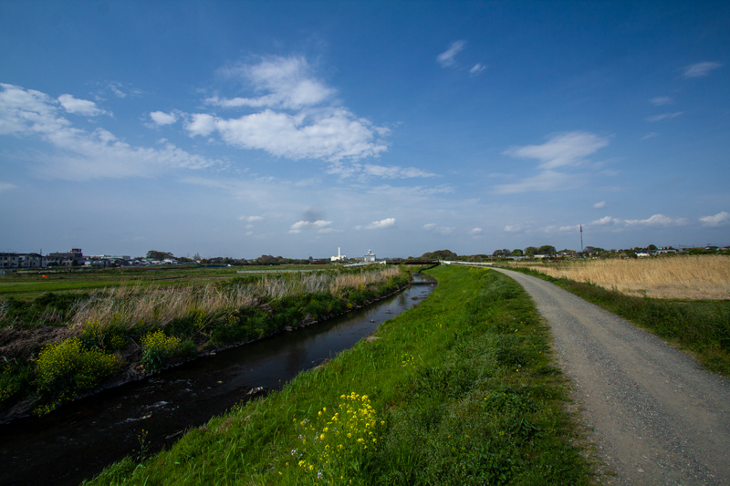 201904-mekujirigawa-019.jpg