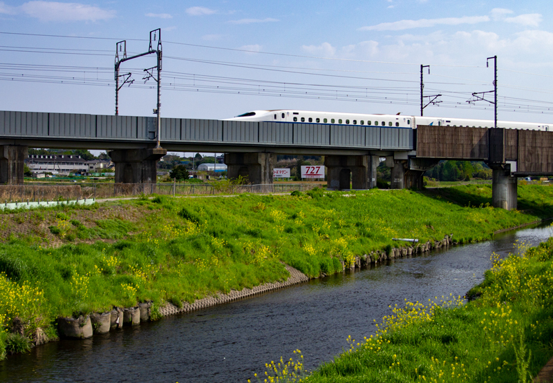 201904-mekujirigawa-021.jpg