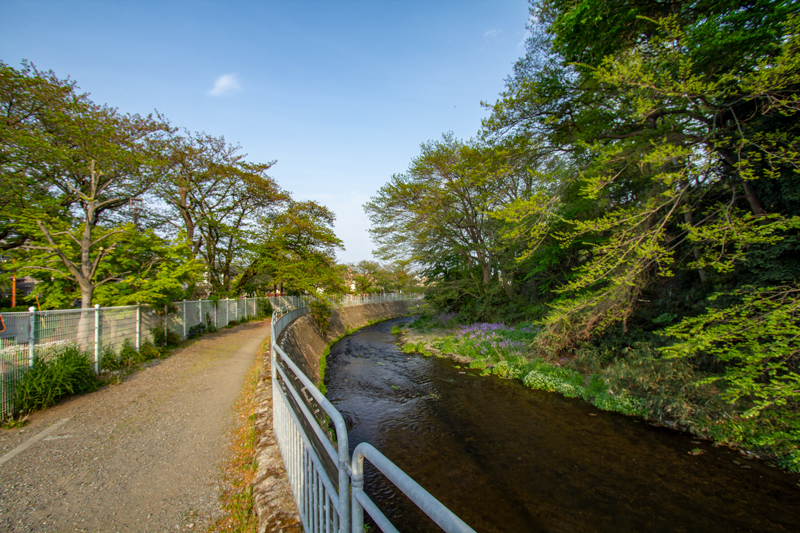 201904-mekujirigawa-025.jpg