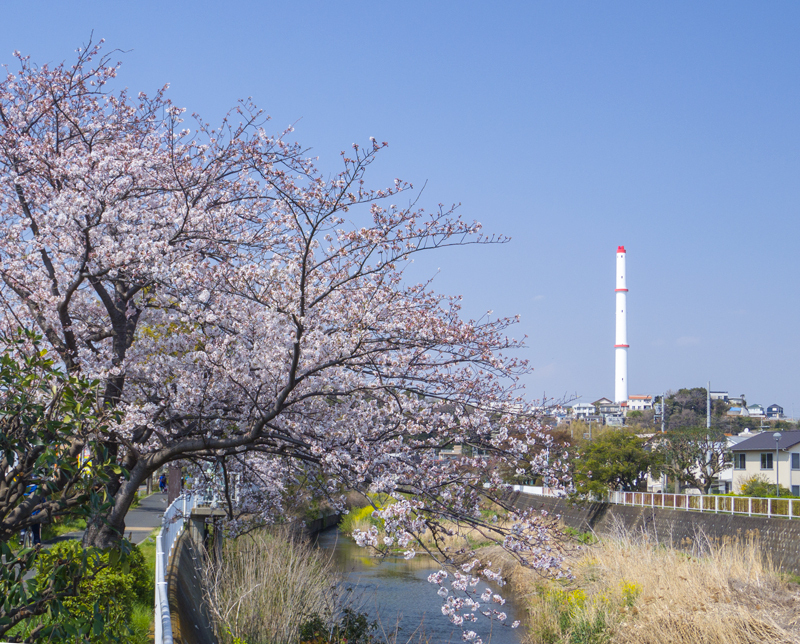 201904hikichigawa-000.jpg