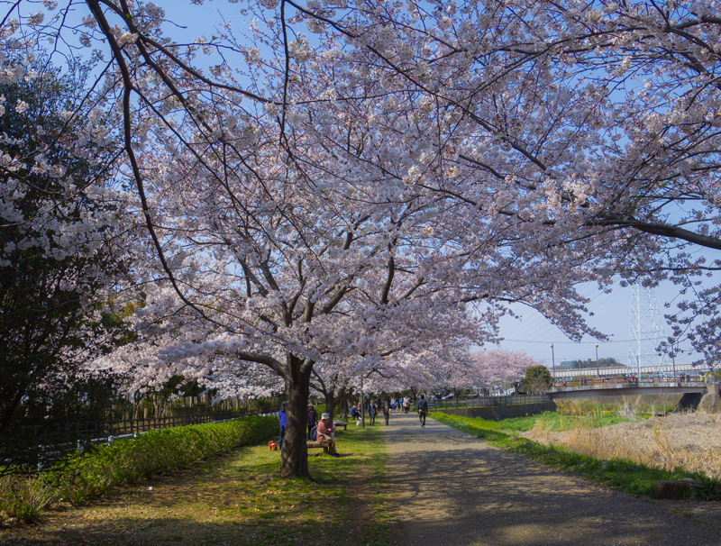 201904hikichigawa-001-1.jpg