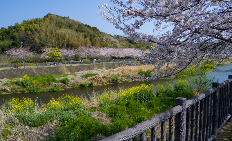 201904hikichigawa-002.jpg