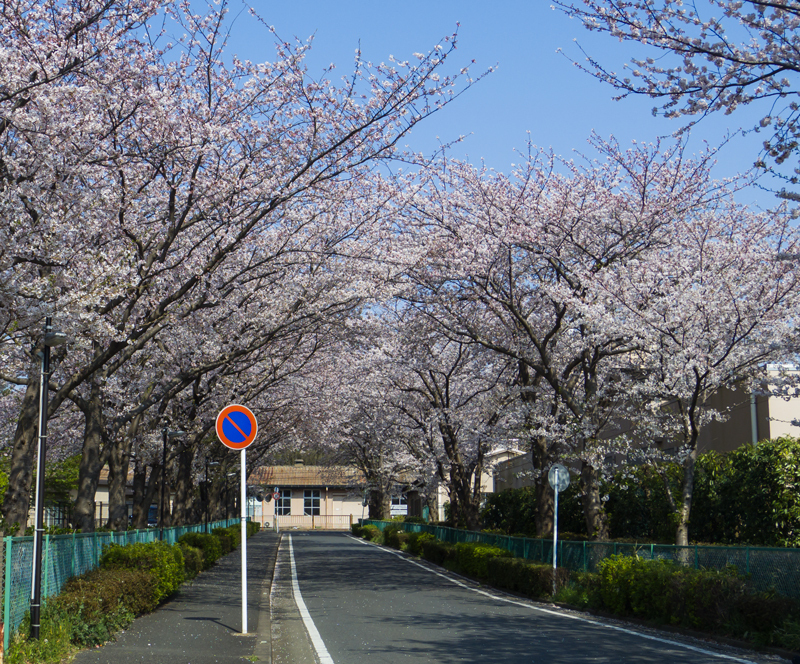 201904hikichigawa-003-2.jpg