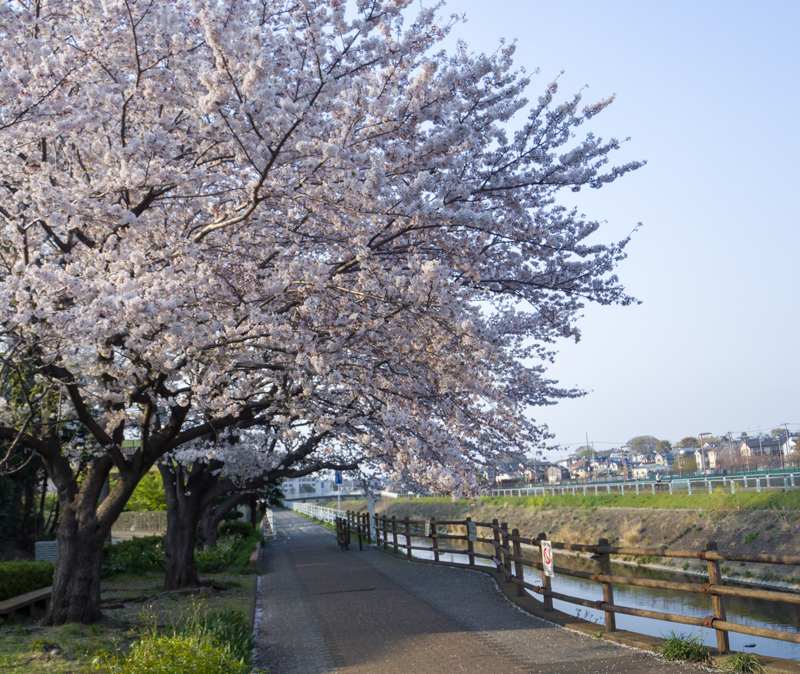201904hikichigawa-005.jpg