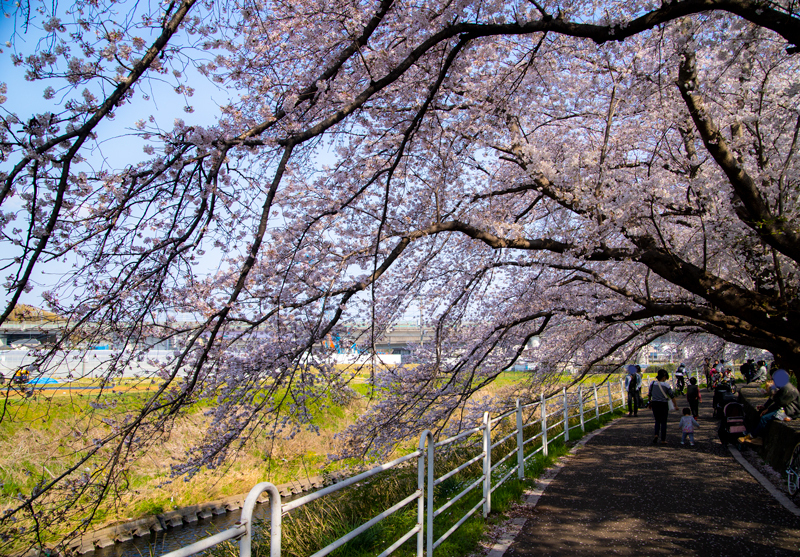 201904hikichigawa-010-1.jpg