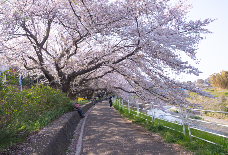 201904hikichigawa-010.jpg