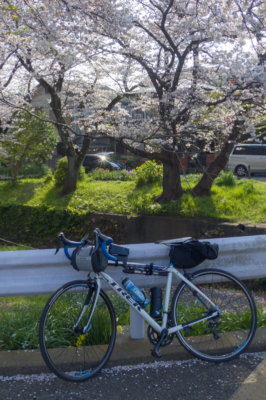 201904hikichigawa-011-2.jpg