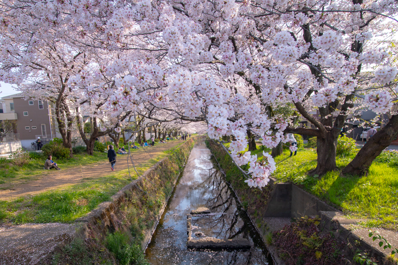 201904hikichigawa-011.jpg