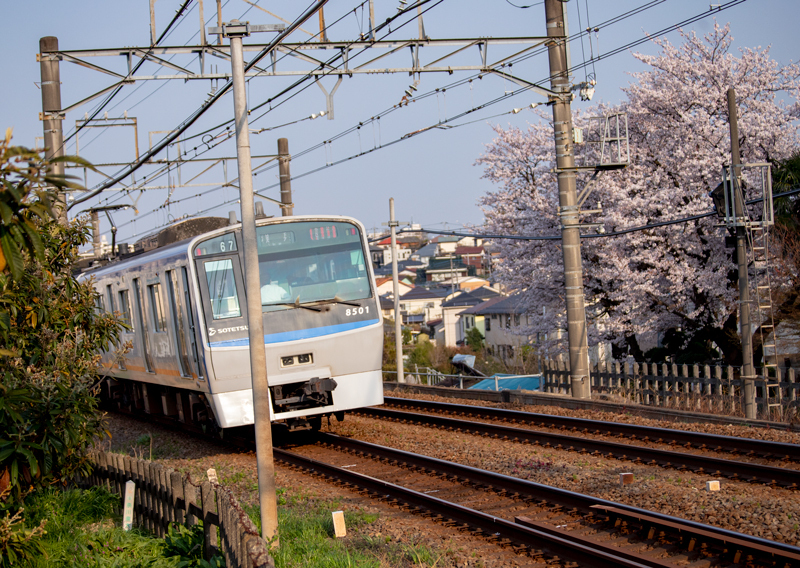 201904hikichigawa-019-2.jpg