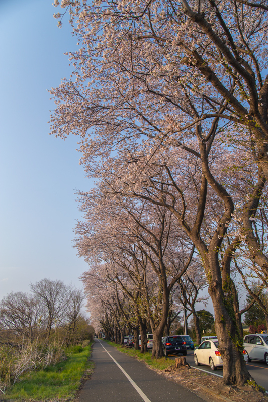 201904hikichigawa-020.jpg