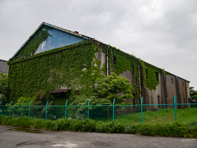 201905-005.jpg