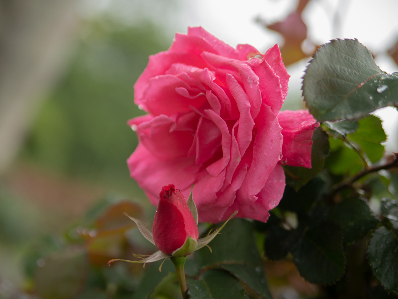 201905-015.jpg