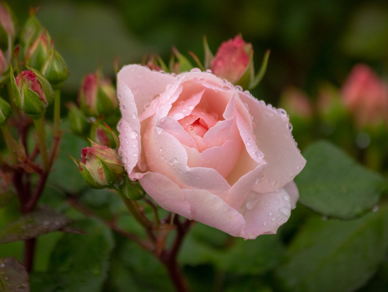 201905-027-1.jpg