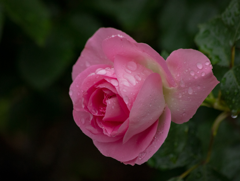 201905-027.jpg