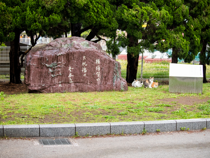 201905-029.jpg