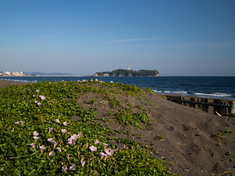 20190505-000.jpg
