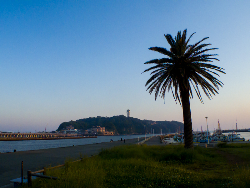 201905下-005.jpg