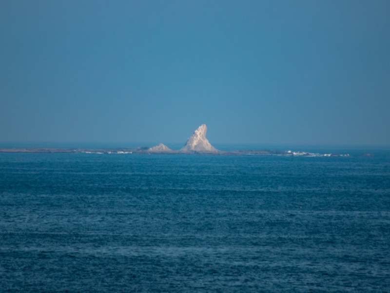201905下-008.jpg