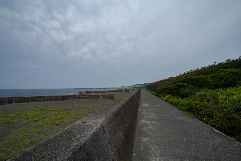 20190602-001.jpg