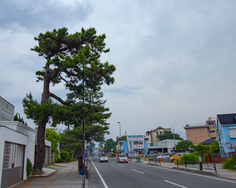 20190602-002.jpg