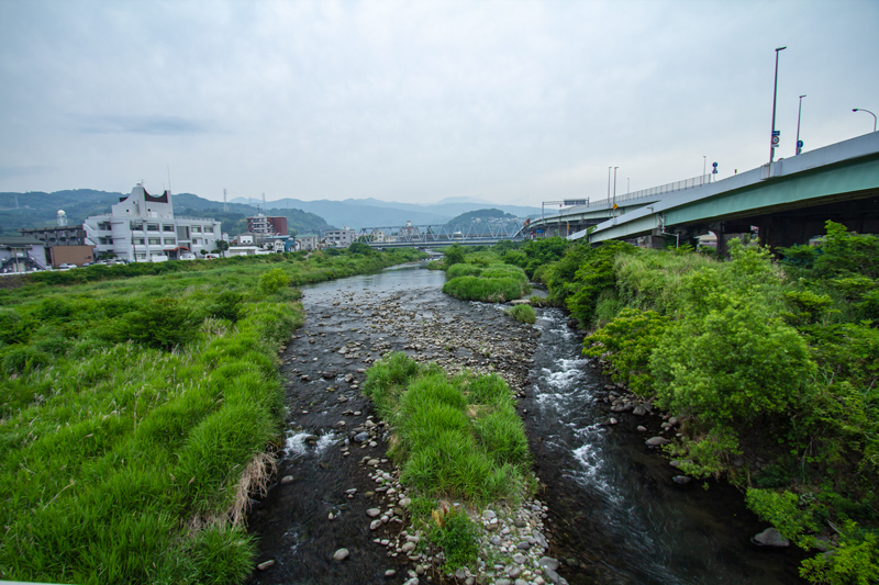 20190602-005.jpg
