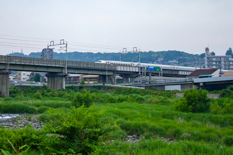 20190602-007-1.jpg