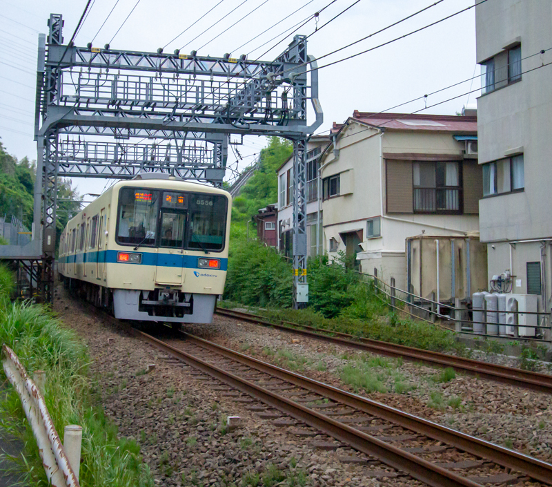 20190602-012.jpg