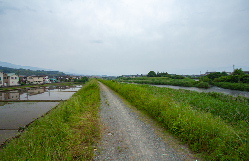 20190602-015-1.jpg